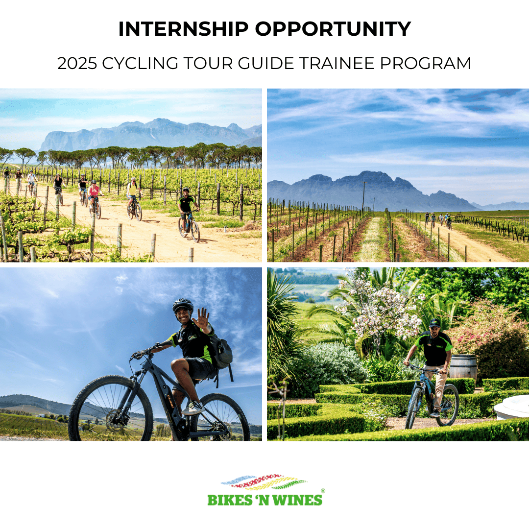 BikesnWines Internship Programme