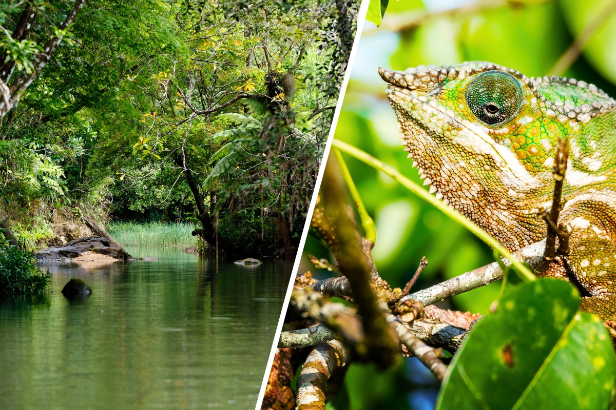 Jenman Safaris New Signature Journeys