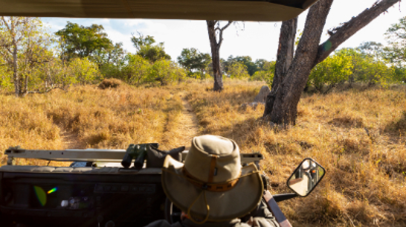 Tourism Guide