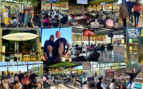 TLL GP & NW Collage